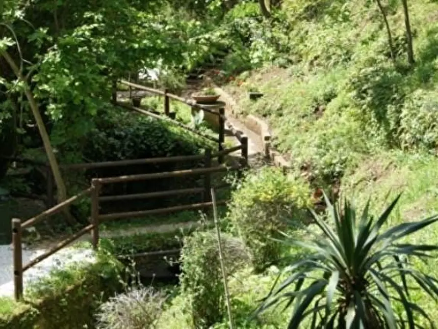 Immagine 5 di Rustico / casale in vendita  a San Giuliano Terme