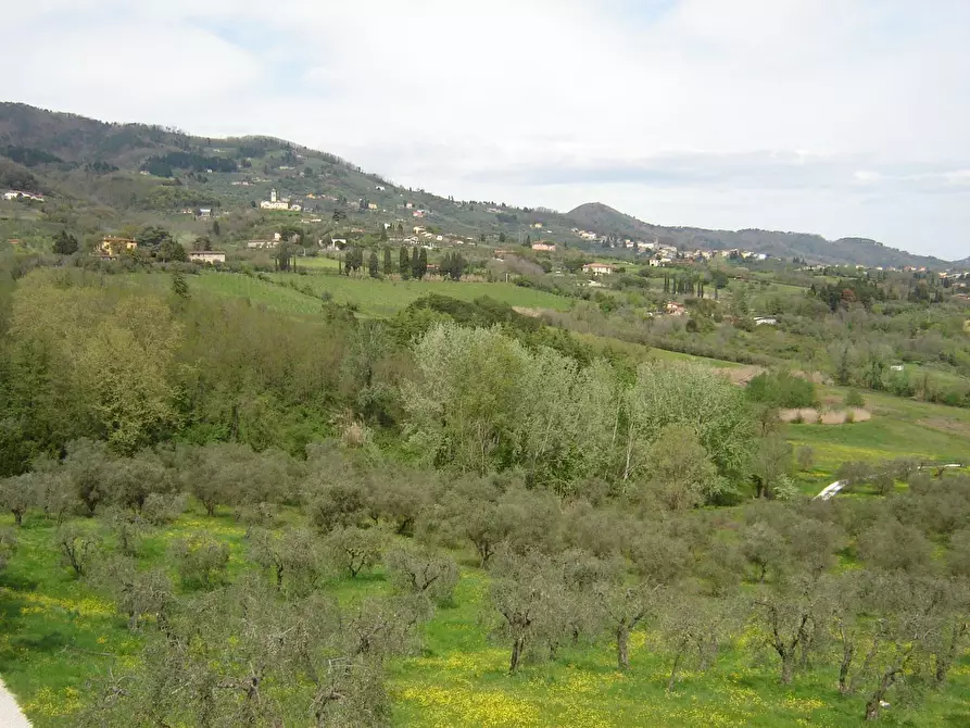 Immagine 10 di Terratetto in vendita  a Capannori