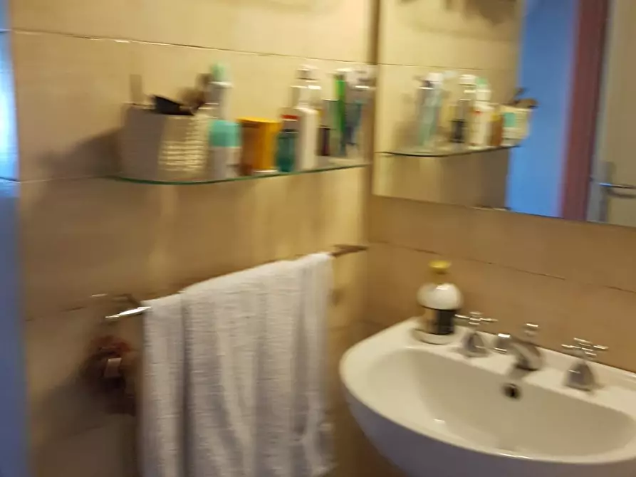 Immagine 7 di Appartamento in affitto  a Siena