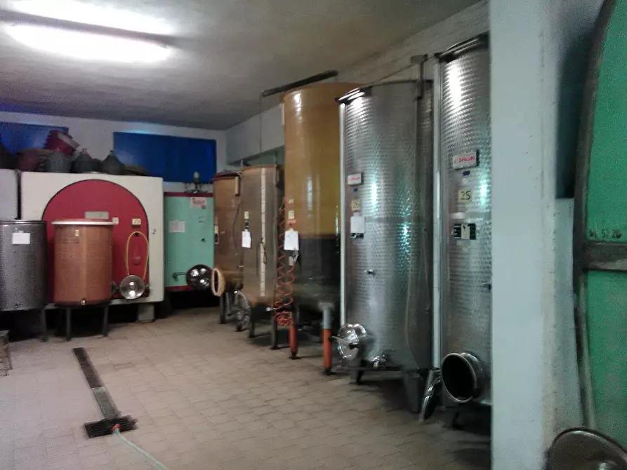 Immagine 12 di Azienda agricola in vendita  a San Miniato