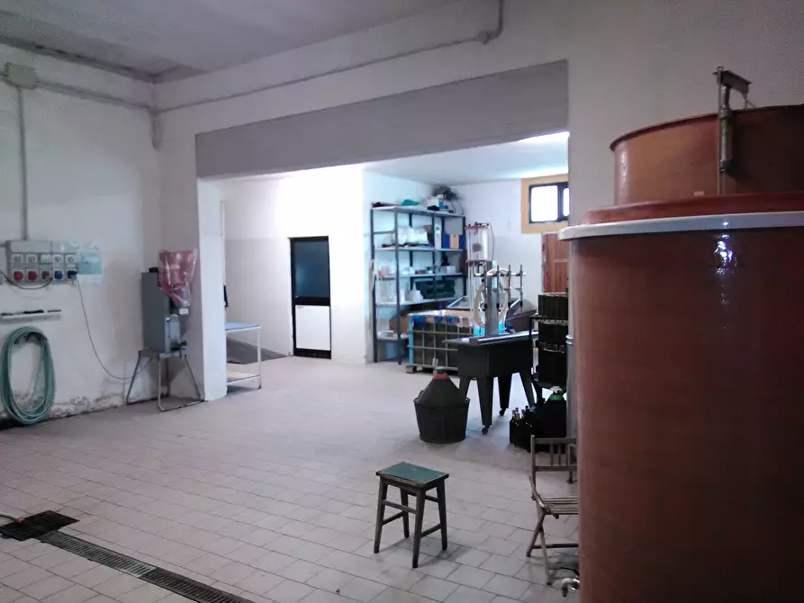 Immagine 9 di Azienda agricola in vendita  a San Miniato