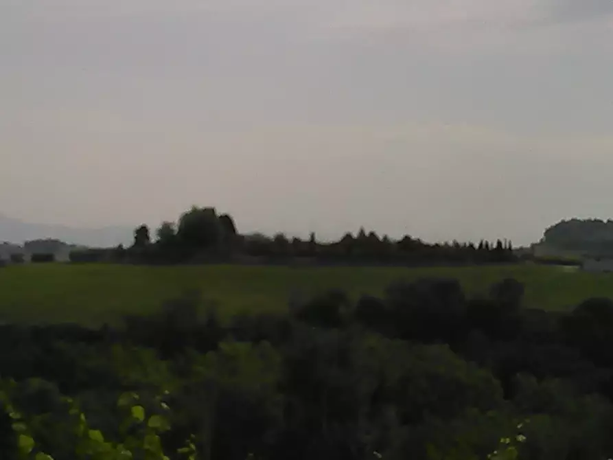 Immagine 26 di Azienda agricola in vendita  a San Miniato