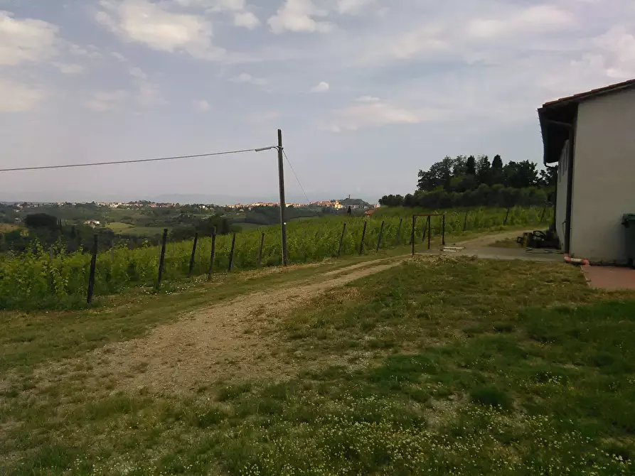Immagine 18 di Azienda agricola in vendita  a San Miniato