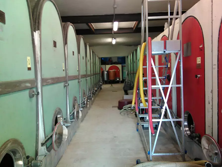 Immagine 10 di Azienda agricola in vendita  a San Miniato