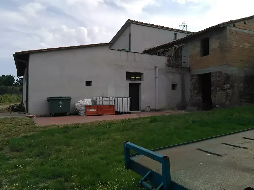Immagine 19 di Azienda agricola in vendita  a San Miniato