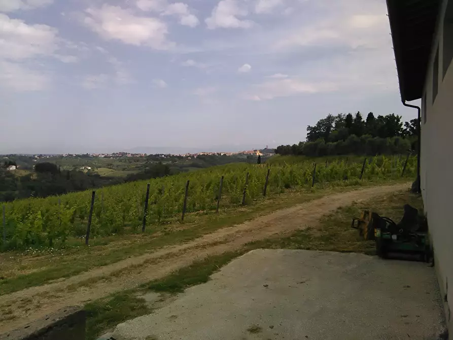 Immagine 21 di Azienda agricola in vendita  a San Miniato