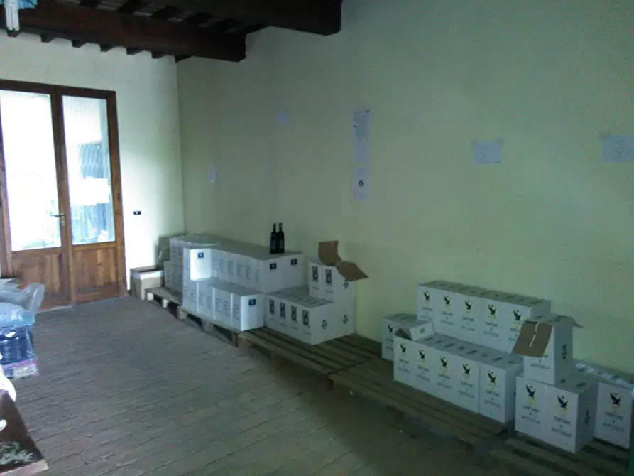 Immagine 8 di Azienda agricola in vendita  a San Miniato