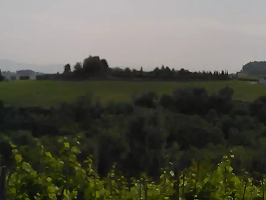 Immagine 27 di Azienda agricola in vendita  a San Miniato