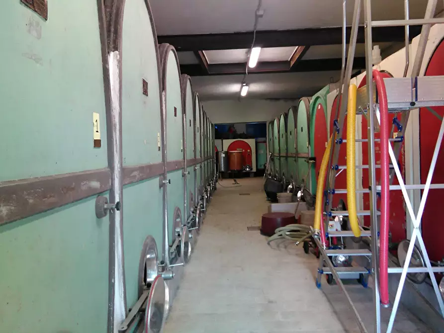 Immagine 11 di Azienda agricola in vendita  a San Miniato