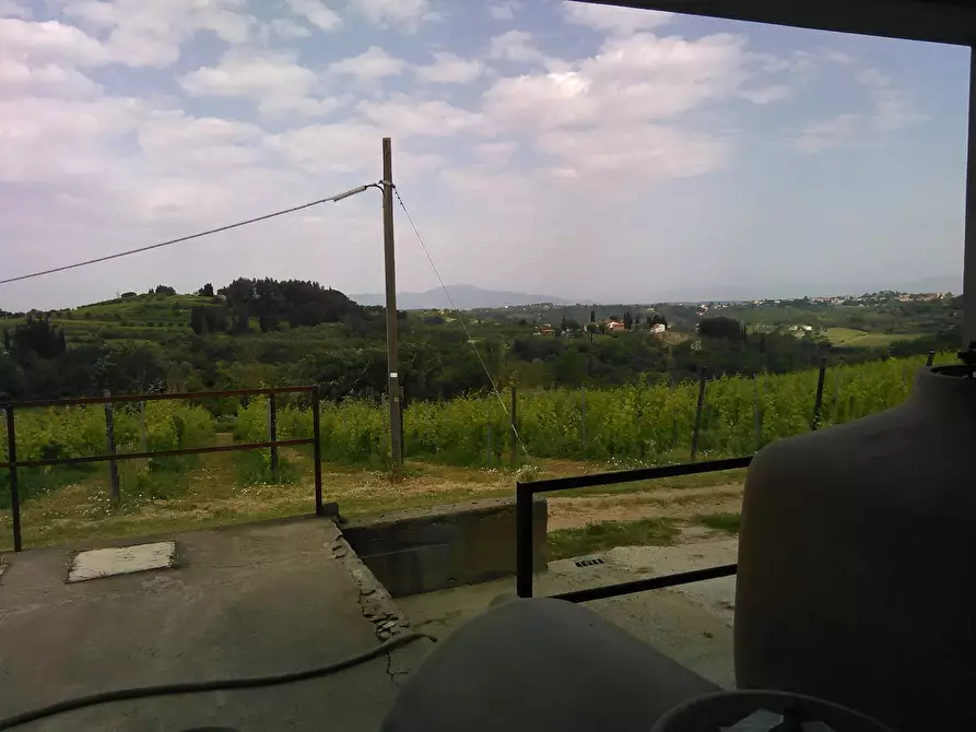 Immagine 20 di Azienda agricola in vendita  a San Miniato