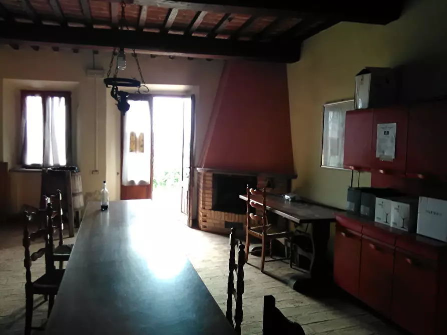 Immagine 6 di Azienda agricola in vendita  a San Miniato