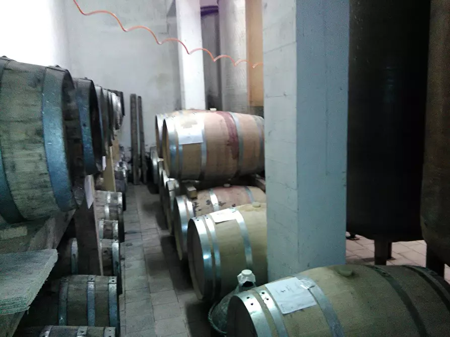 Immagine 15 di Azienda agricola in vendita  a San Miniato