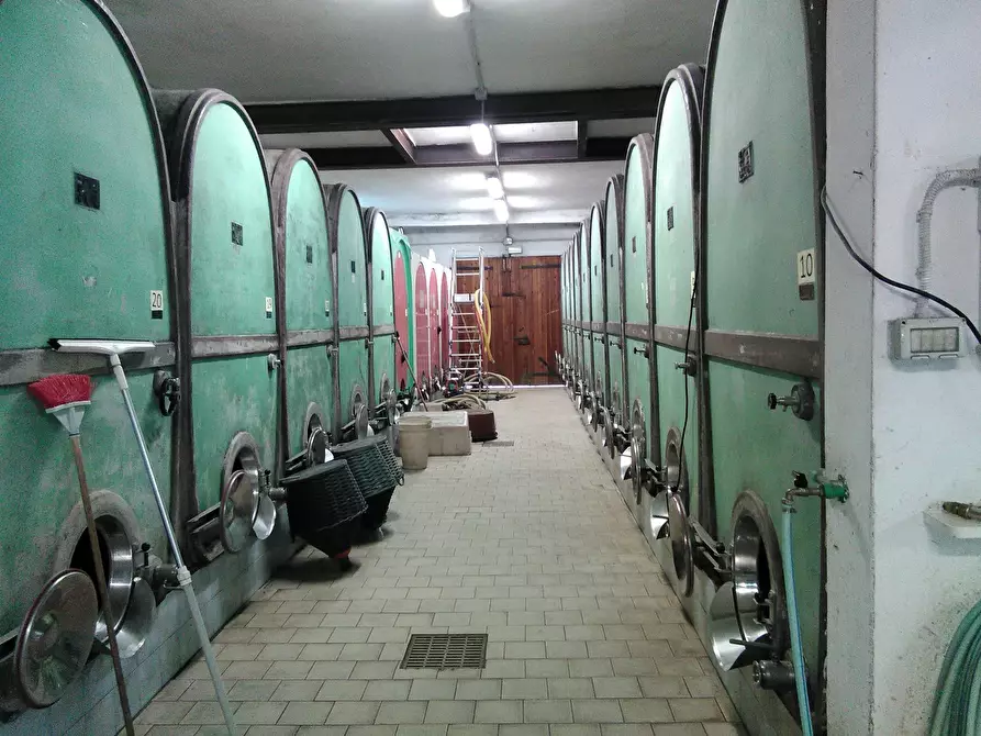 Immagine 13 di Azienda agricola in vendita  a San Miniato