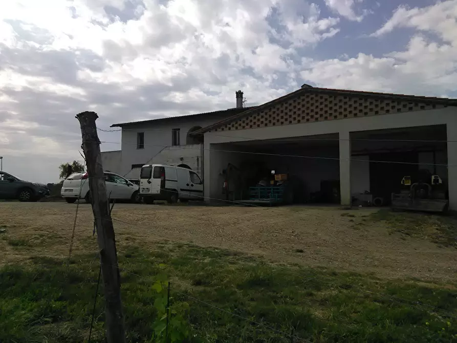 Immagine 25 di Azienda agricola in vendita  a San Miniato
