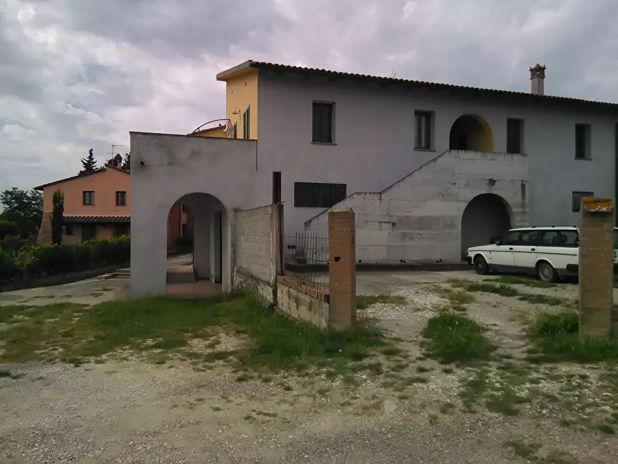 Immagine 2 di Azienda agricola in vendita  a San Miniato