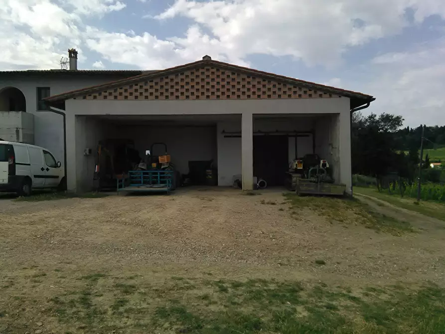 Immagine 24 di Azienda agricola in vendita  a San Miniato