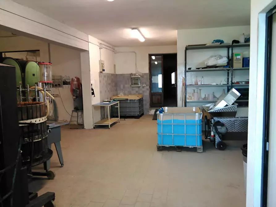 Immagine 16 di Azienda agricola in vendita  a San Miniato
