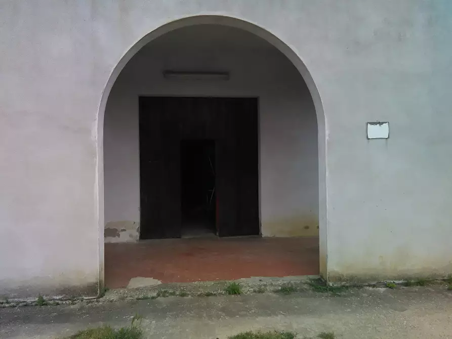 Immagine 4 di Azienda agricola in vendita  a San Miniato
