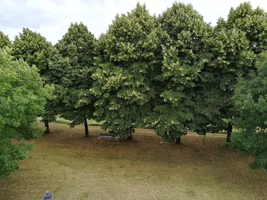 Immagine 4 di Appartamento in vendita  a Santa Croce Sull'arno