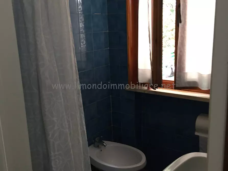 Immagine 13 di Appartamento in affitto  a Rosignano Marittimo