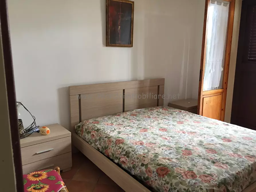 Immagine 12 di Appartamento in affitto  a Rosignano Marittimo