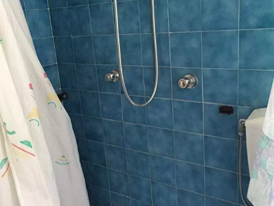 Immagine 13 di Appartamento in affitto  a Rosignano Marittimo