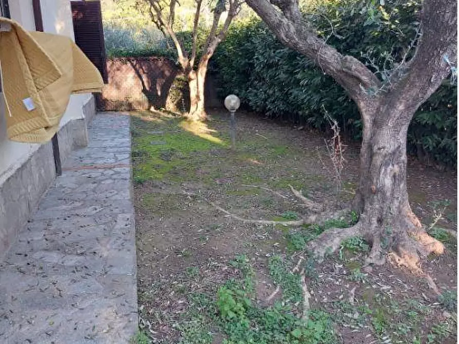 Immagine 21 di Casa semindipendente in vendita  a Castelnuovo Magra