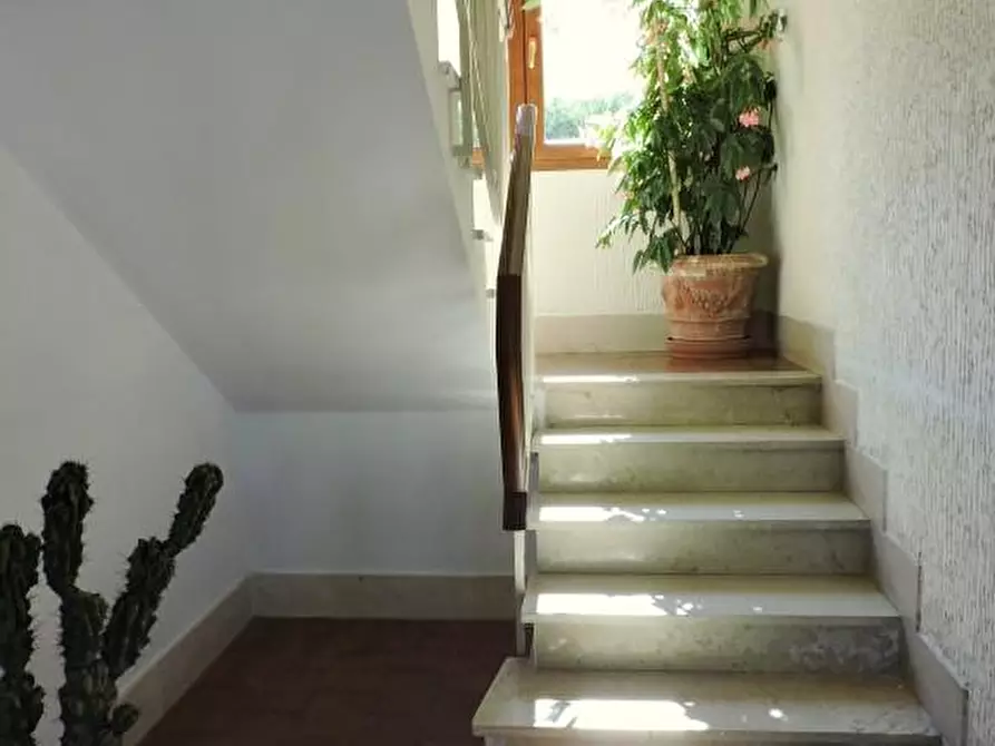 Immagine 4 di Appartamento in vendita  a Pisa