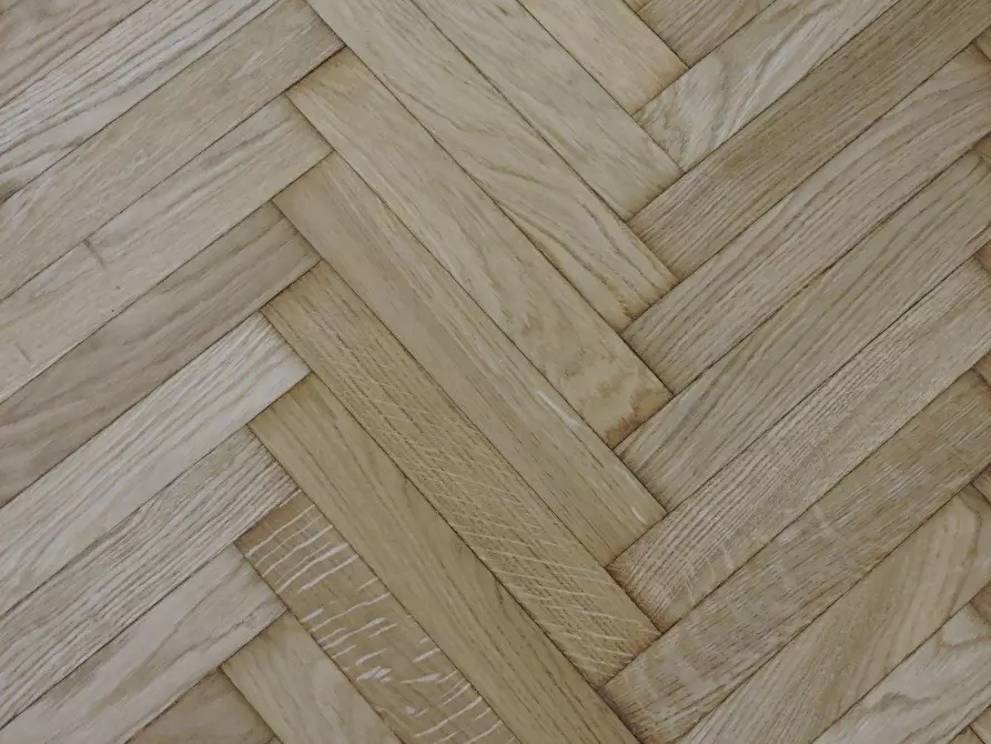 Immagine 32 di Appartamento in vendita  a Pisa