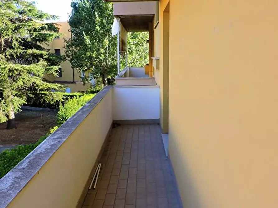 Immagine 34 di Appartamento in vendita  a Pisa