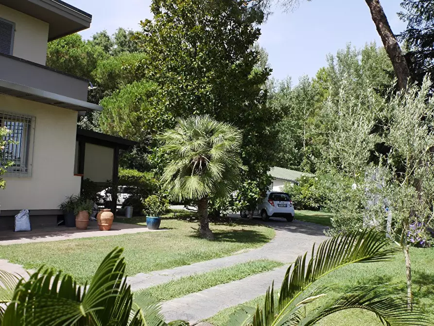 Immagine 23 di Casa bifamiliare in vendita  a Massa