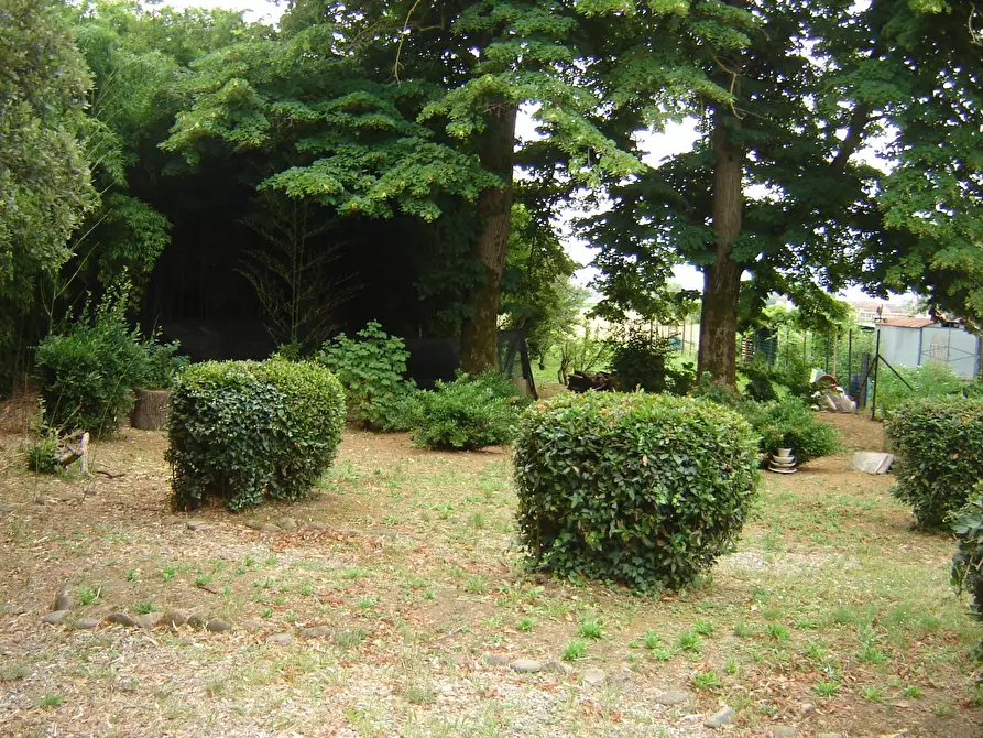 Immagine 27 di Terratetto in vendita  a Porcari