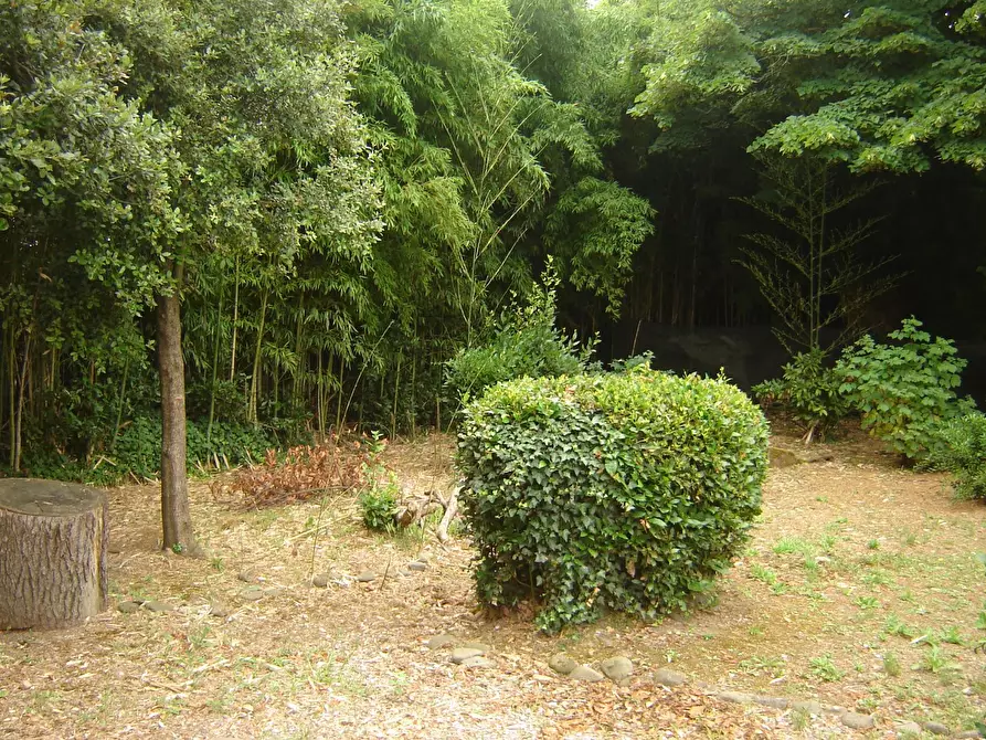 Immagine 23 di Terratetto in vendita  a Porcari