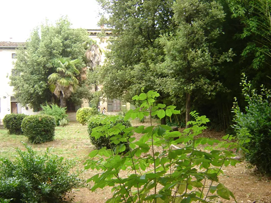 Immagine 25 di Terratetto in vendita  a Porcari