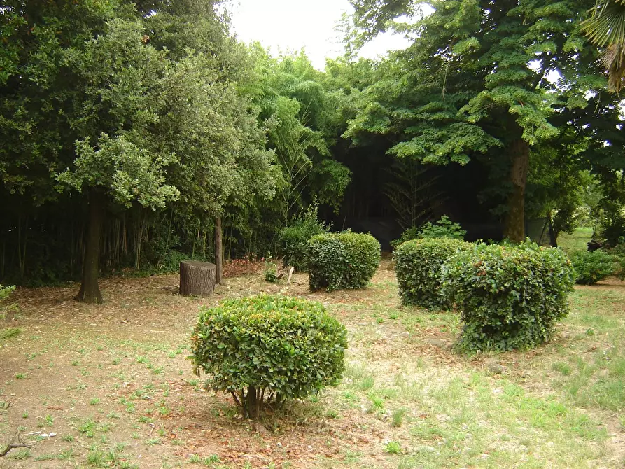 Immagine 14 di Terratetto in vendita  a Porcari