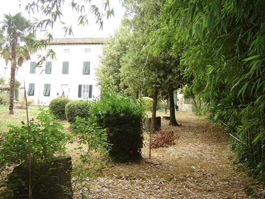 Immagine 24 di Terratetto in vendita  a Porcari