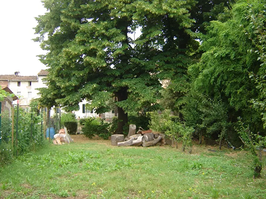 Immagine 30 di Terratetto in vendita  a Porcari