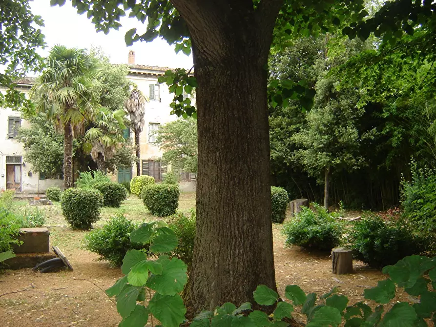 Immagine 31 di Terratetto in vendita  a Porcari