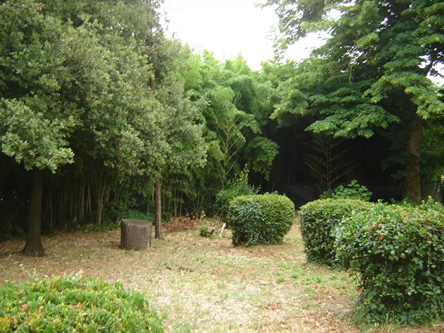 Immagine 28 di Terratetto in vendita  a Porcari