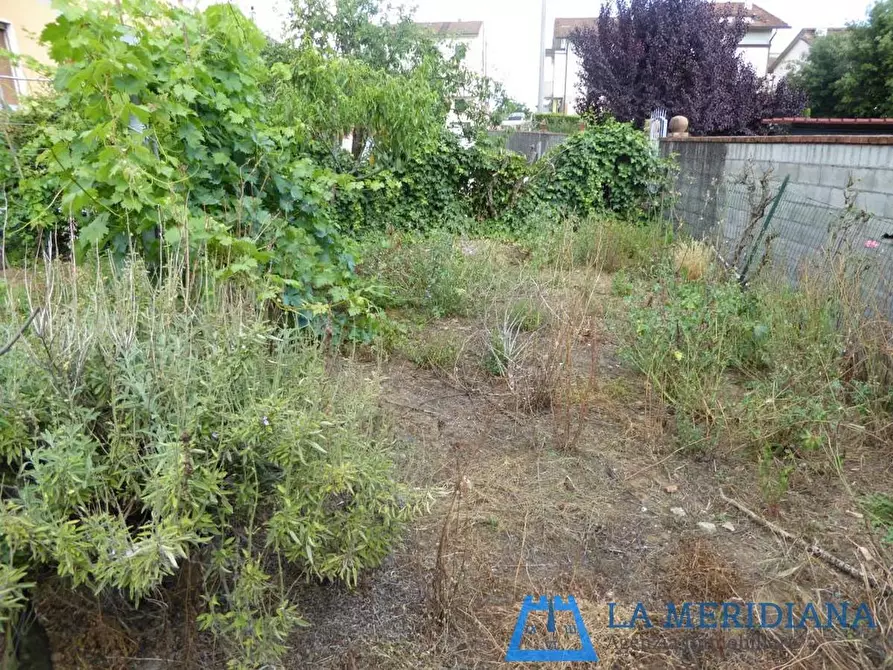 Immagine 4 di Terratetto in vendita  a Lamporecchio