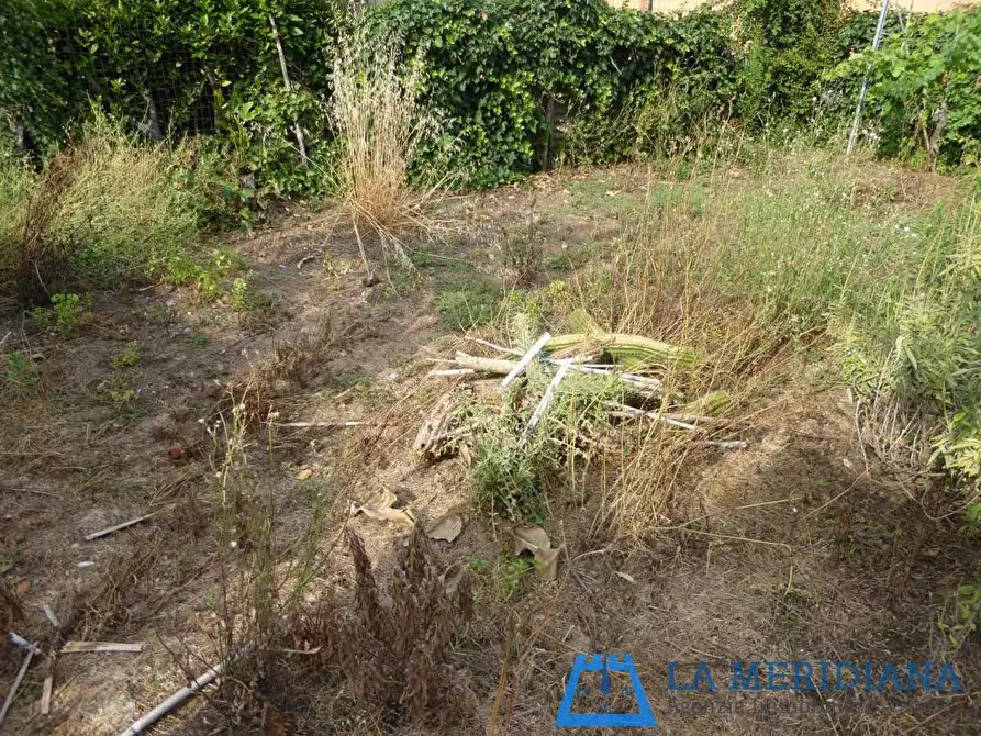 Immagine 5 di Terratetto in vendita  a Lamporecchio