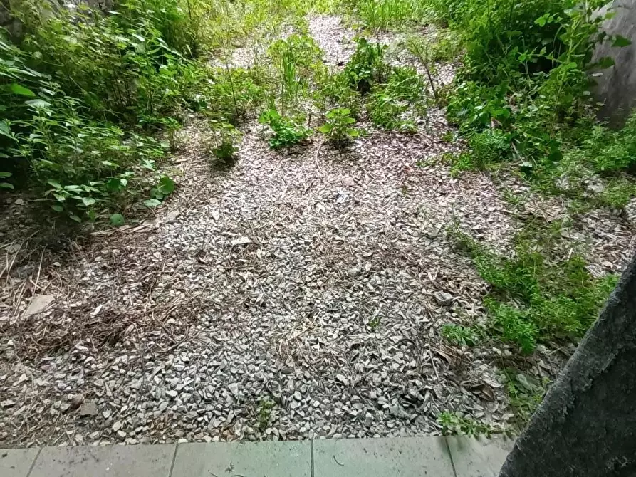 Immagine 3 di Locale commerciale in affitto  a Lucca