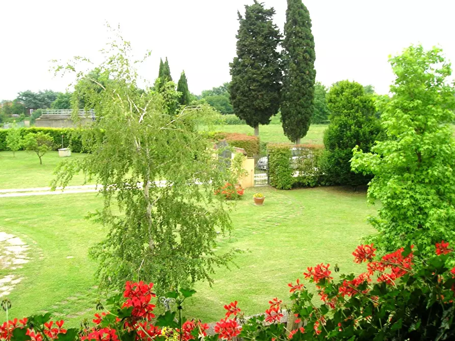 Immagine 25 di Casa colonica in vendita  a Vicopisano