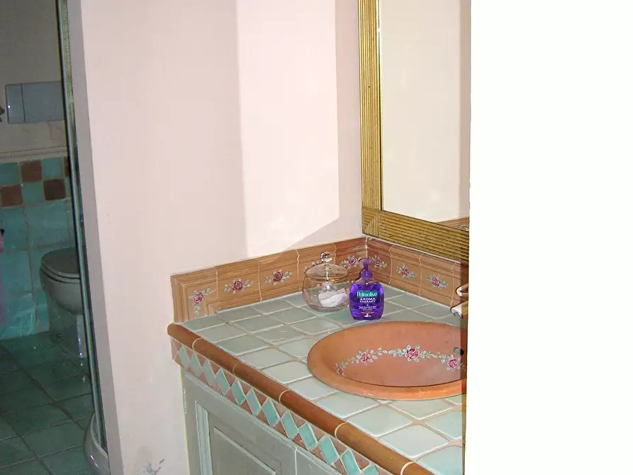 Immagine 19 di Casa colonica in vendita  a Vicopisano