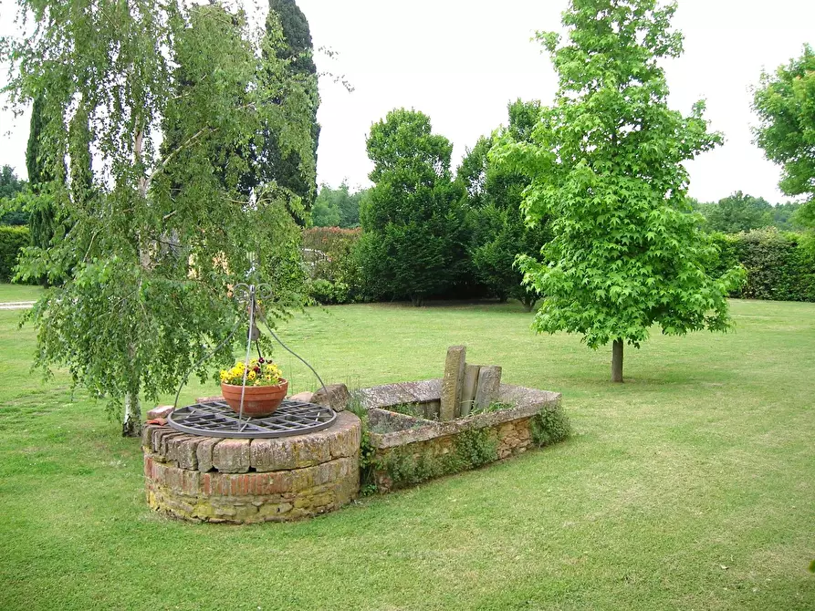 Immagine 34 di Casa colonica in vendita  a Vicopisano