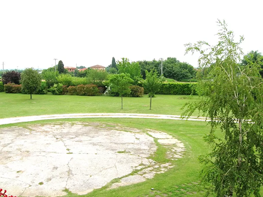 Immagine 26 di Casa colonica in vendita  a Vicopisano