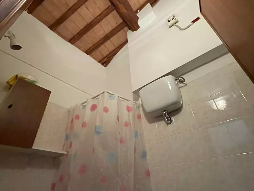 Immagine 16 di Appartamento in affitto  a Siena