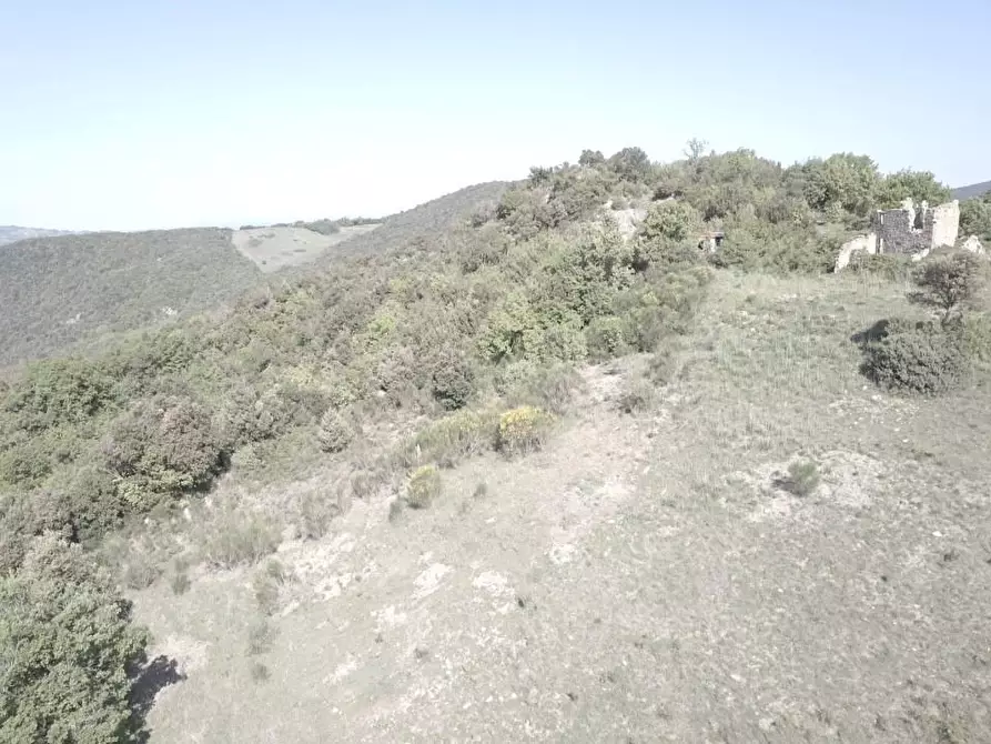 Immagine 2 di Casa colonica in vendita  a Casole D'elsa