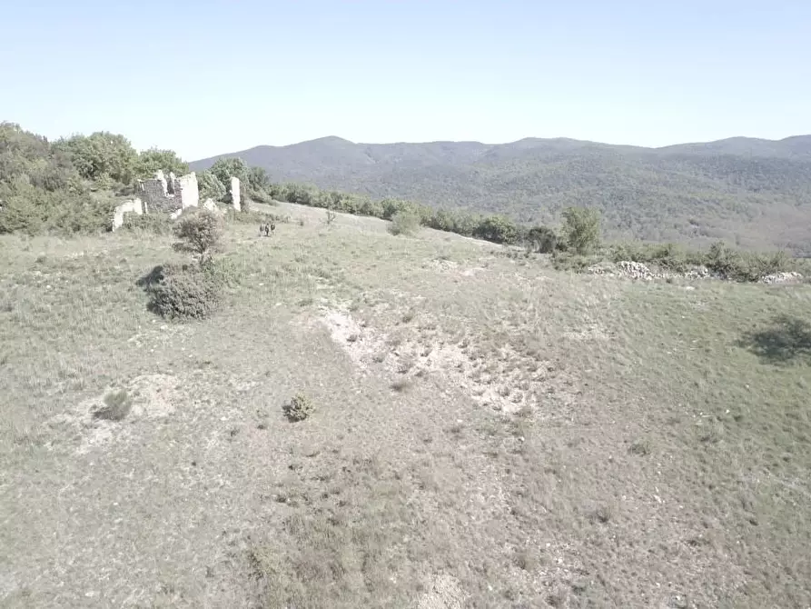 Immagine 3 di Casa colonica in vendita  a Casole D'elsa