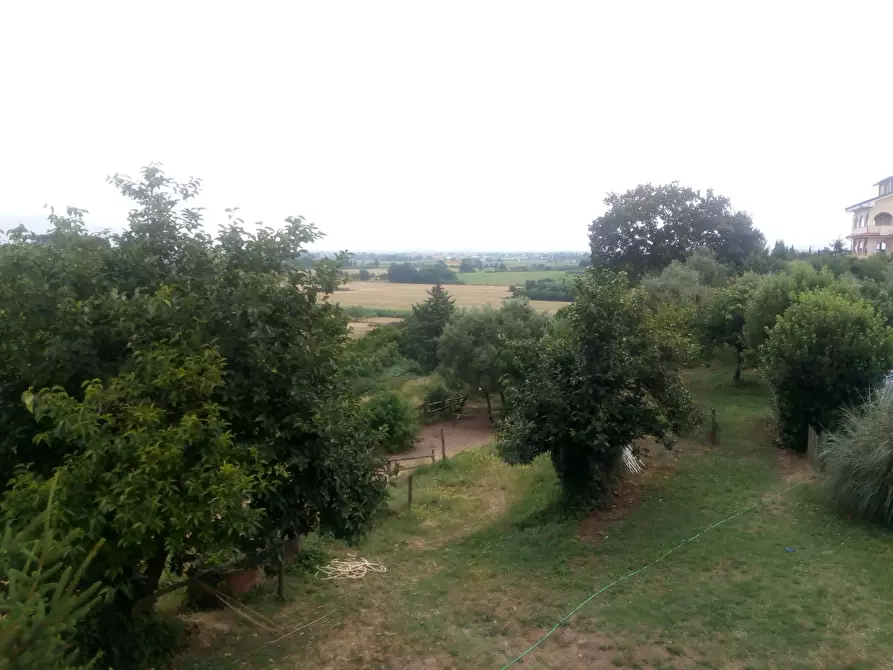 Immagine 54 di Casa colonica in vendita  a Collesalvetti